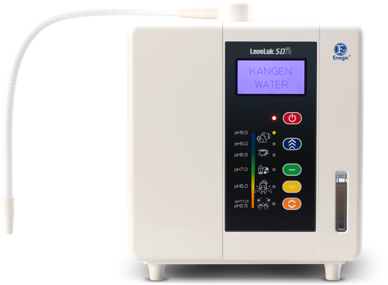 LeveLuk SD501DX
